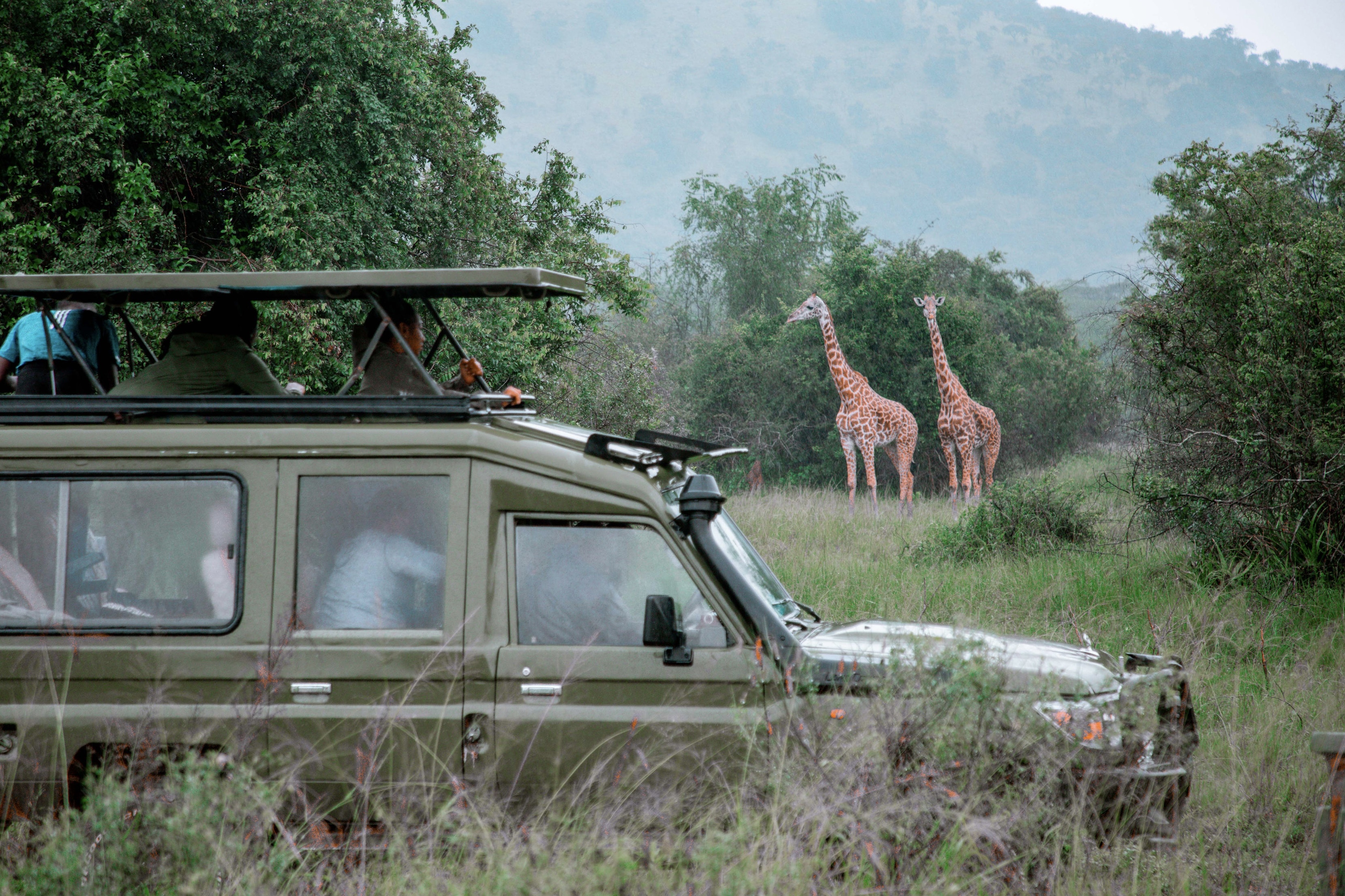 Rwanda Wildlife Safari Tour